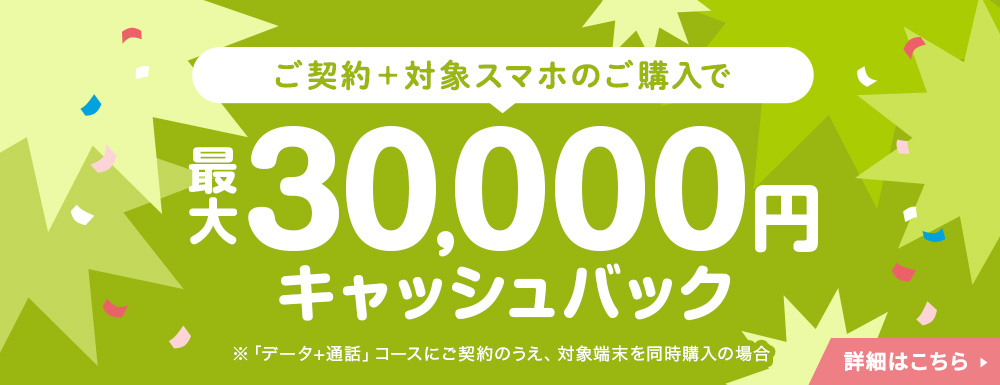 夏だ！祭りだ！キャッシュバックキャンペーン 公式サイト限定キャンペーンと合わせて 最大15,000円キャッシュバック！2024年8月31日まで