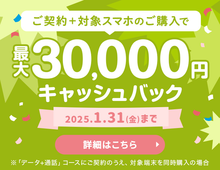 夏だ！祭りだ！キャッシュバックキャンペーン 公式サイト限定キャンペーンと合わせて 最大15,000円キャッシュバック！2024年8月31日まで